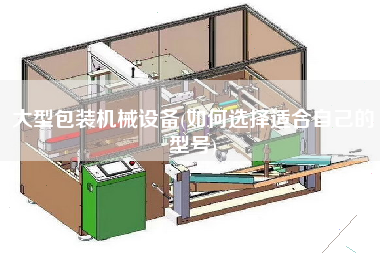 大型包裝機(jī)械設(shè)備(如何選擇適合自己的型號(hào))