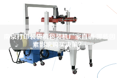 南京打印裝袋機(jī)包裝機(jī)廠家直銷(哪些因素影響X決策？)