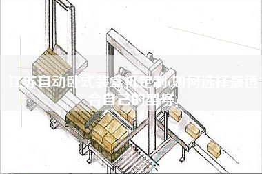 江蘇自動(dòng)臥式裝盒機(jī)定制(如何選擇z適合自己的型號(hào))