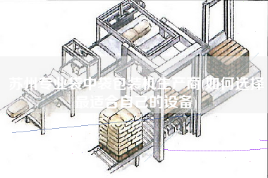 蘇州專業(yè)袋中袋包裝機(jī)生產(chǎn)商(如何選擇z適合自己的設(shè)備)