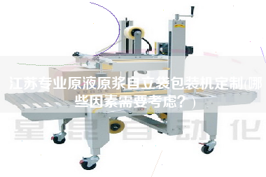 江蘇專業(yè)原液原漿自立袋包裝機(jī)定制(哪些因素需要考慮？)