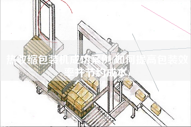 熱收縮包裝機(jī)成功案例(如何提高包裝效率并節(jié)約成本)