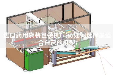 進口藥用袋裝包裝機廠家(如何選擇z適合自己的機型)