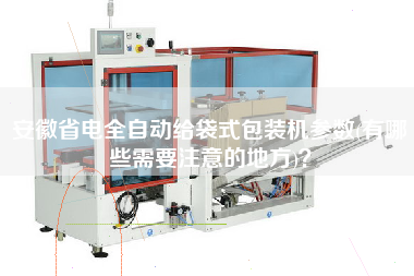 安徽省電全自動給袋式包裝機(jī)參數(shù)(有哪些需要注意的地方)？