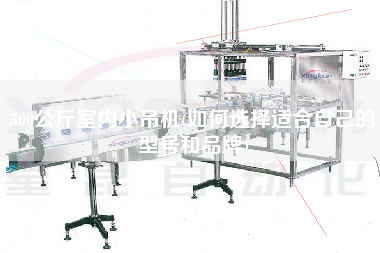 500公斤室內(nèi)小吊機(如何選擇適合自己的型號和品牌)