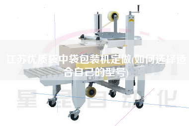 江蘇優(yōu)質袋中袋包裝機定做(如何選擇適合自己的型號)