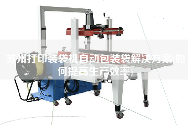 蘇州打印裝袋機(jī)自動(dòng)包裝袋解決方案(如何提高生產(chǎn)效率)