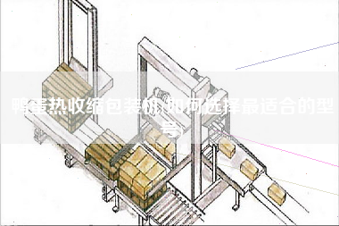 鴨蛋熱收縮包裝機(jī)(如何選擇z適合的型號(hào))