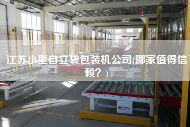 江蘇小型自立袋包裝機(jī)公司(哪家值得信賴？)