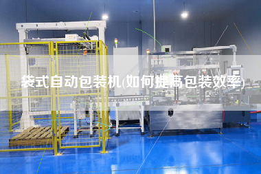 袋式自動(dòng)包裝機(jī)(如何提高包裝效率)