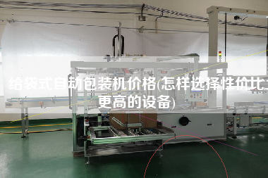 給袋式自動(dòng)包裝機(jī)價(jià)格(怎樣選擇性價(jià)比z高的設(shè)備)
