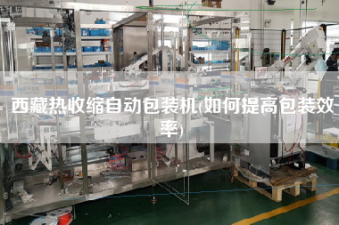 X熱收縮自動(dòng)包裝機(jī)(如何提高包裝效率)