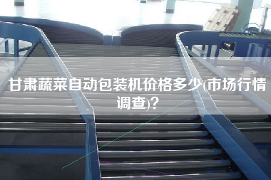 甘肅蔬菜自動包裝機價格多少(市場行情調查)？