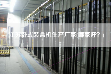 江蘇臥式裝盒機(jī)生產(chǎn)廠(chǎng)家(哪家好？)