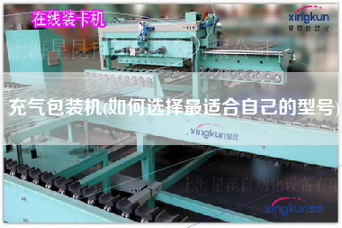 充氣包裝機(jī)(如何選擇z適合自己的型號)